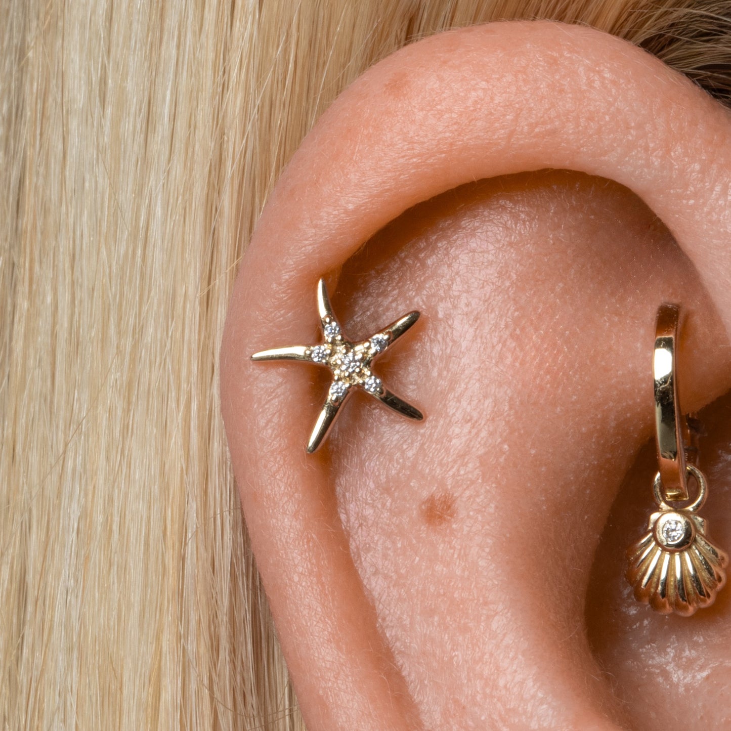 Laura Bond Jewellery 14k solid yellow gold Starfish flat back labret stud earring Cartilage Studs