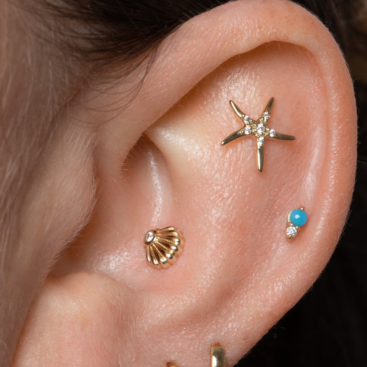 Laura Bond Jewellery 14k solid yellow gold Starfish flat back labret stud earring Cartilage Studs