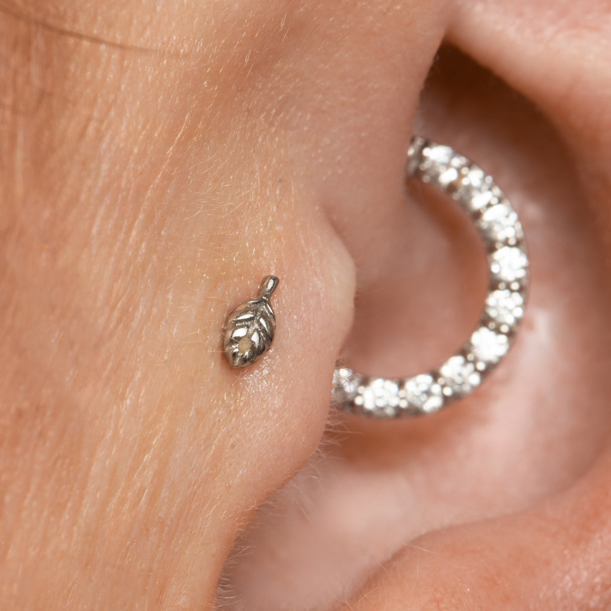 14k solid white gold tiny Leaf flat back labret stud earring 8mm Cartilage Studs Laura Bond Jewellery