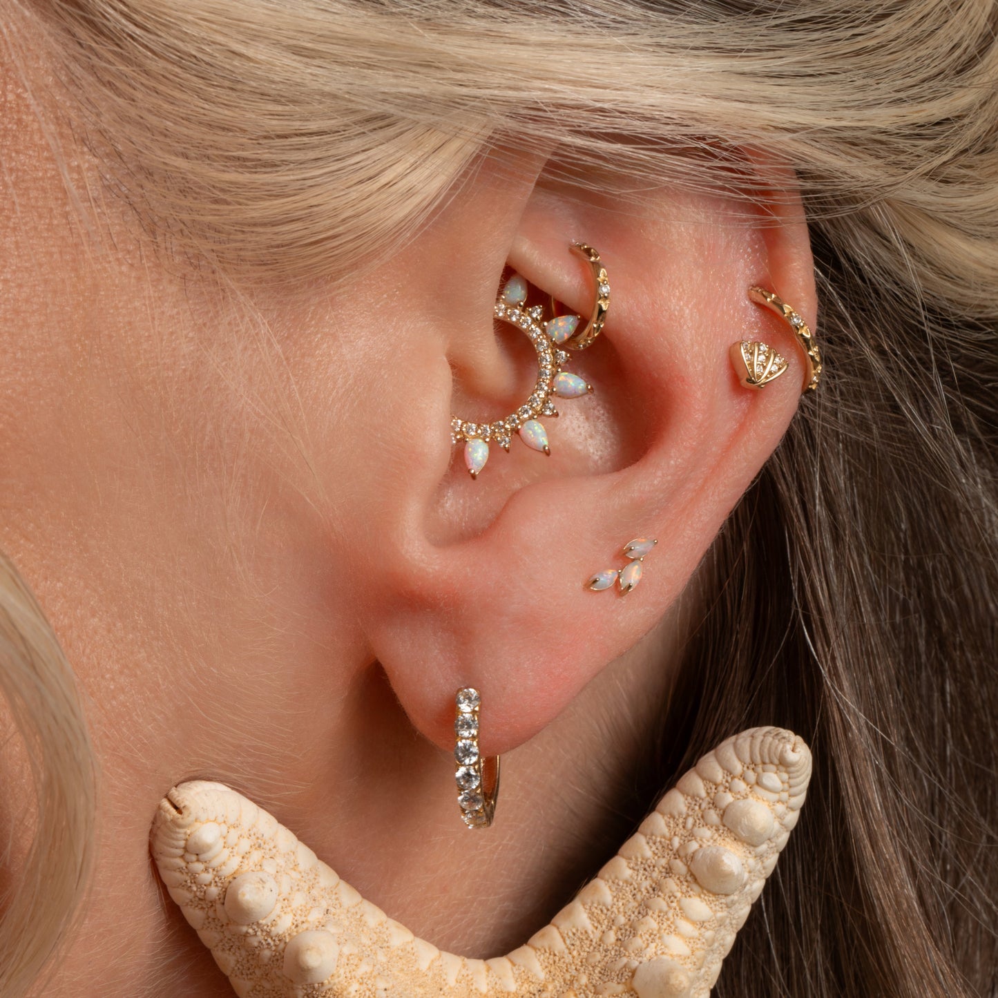 astrid miyu maria tash 14k solid yellow gold sparkly shell stud Cartilage Studs Laura Bond