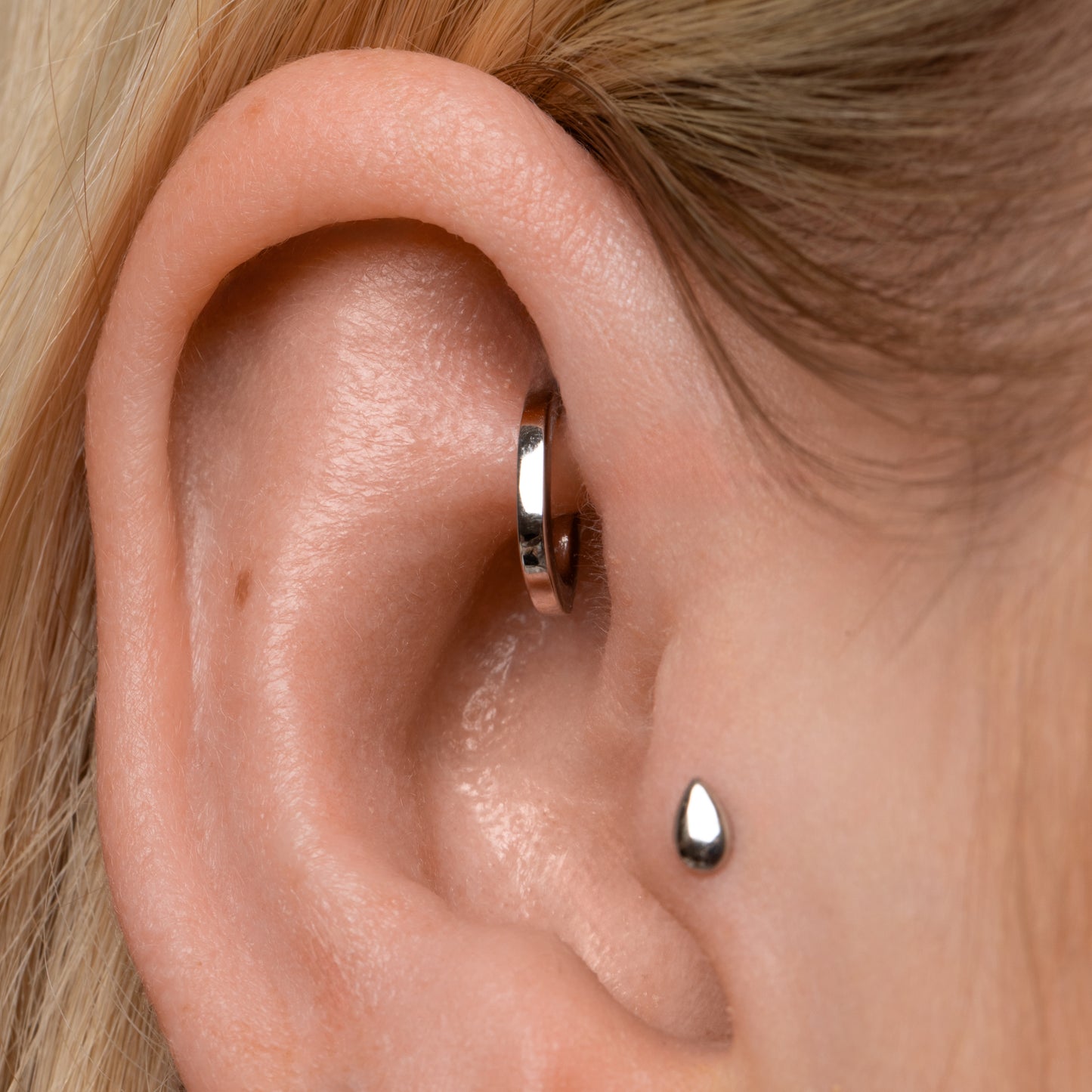 Laura Bond Jewellery 9k solid white gold 7mm 16g oval rook clicker hoop earring Huggies and Hoops