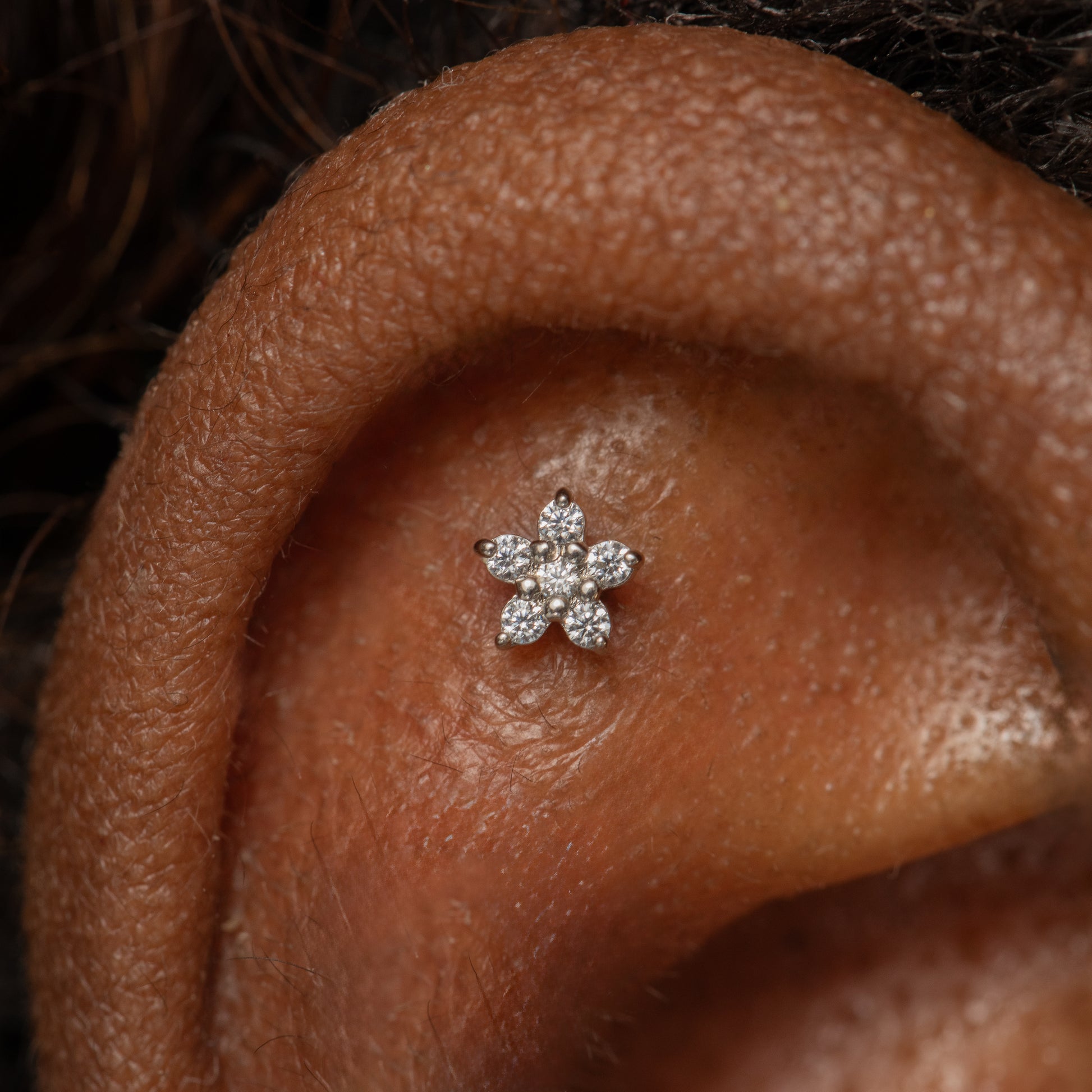 Laura Bond Jewellery 14k solid white gold dainty Daisy flat back labret stud earring Cartilage Studs