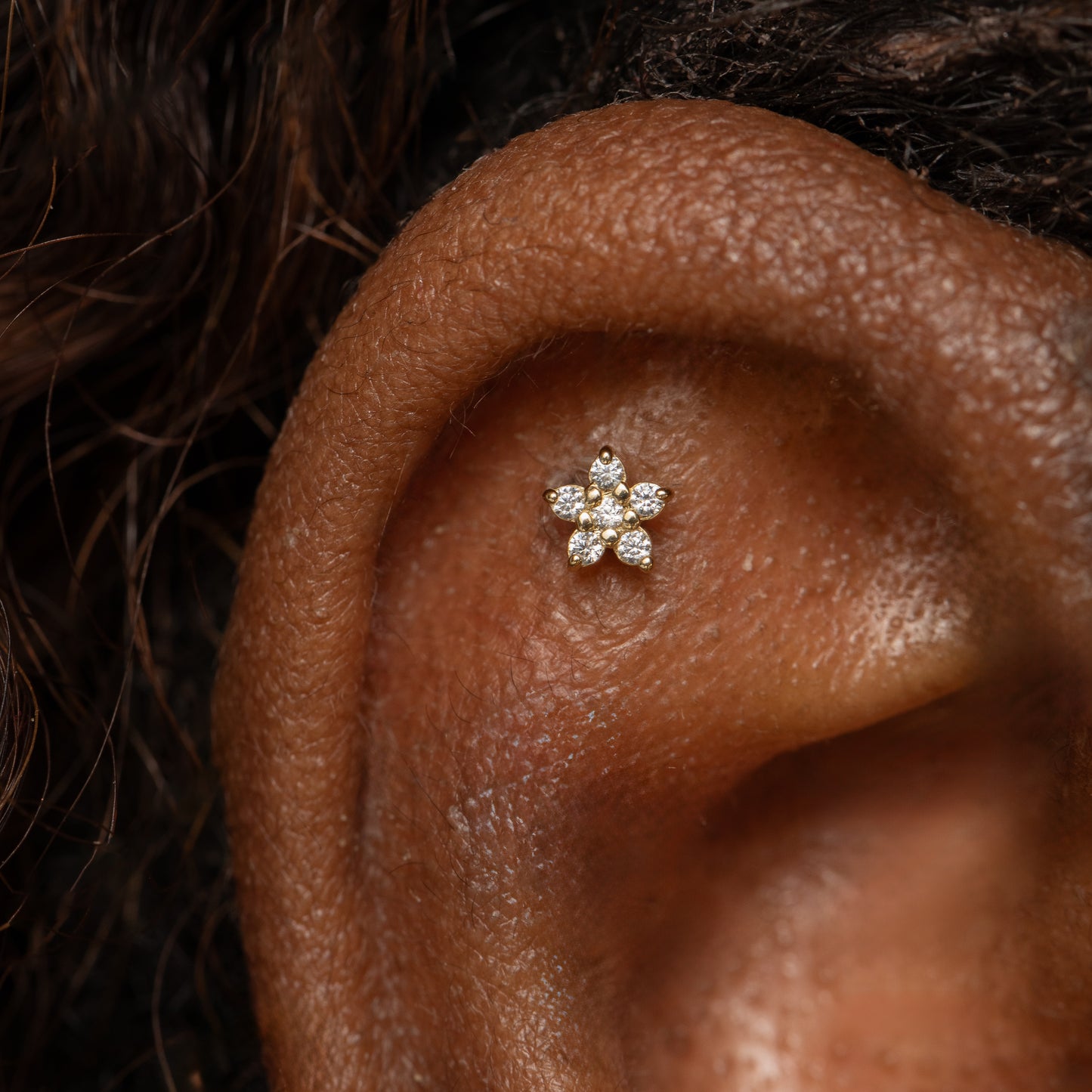 Laura Bond Jewellery 14k solid yellow gold dainty Daisy flat back labret stud earring Cartilage Studs