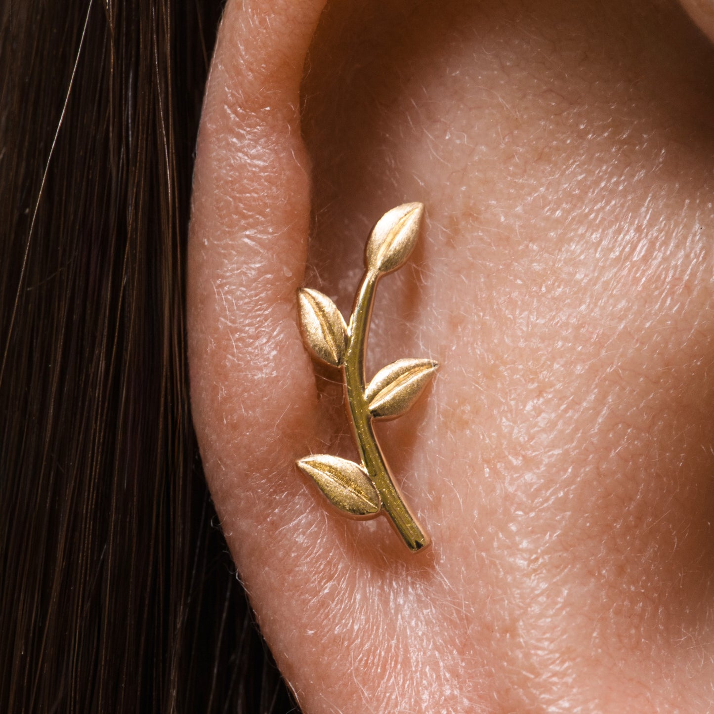 Laura Bond Jewellery 9k solid yellow gold textured vine garland flat back labret stud earring 6mm Cartilage Studs
