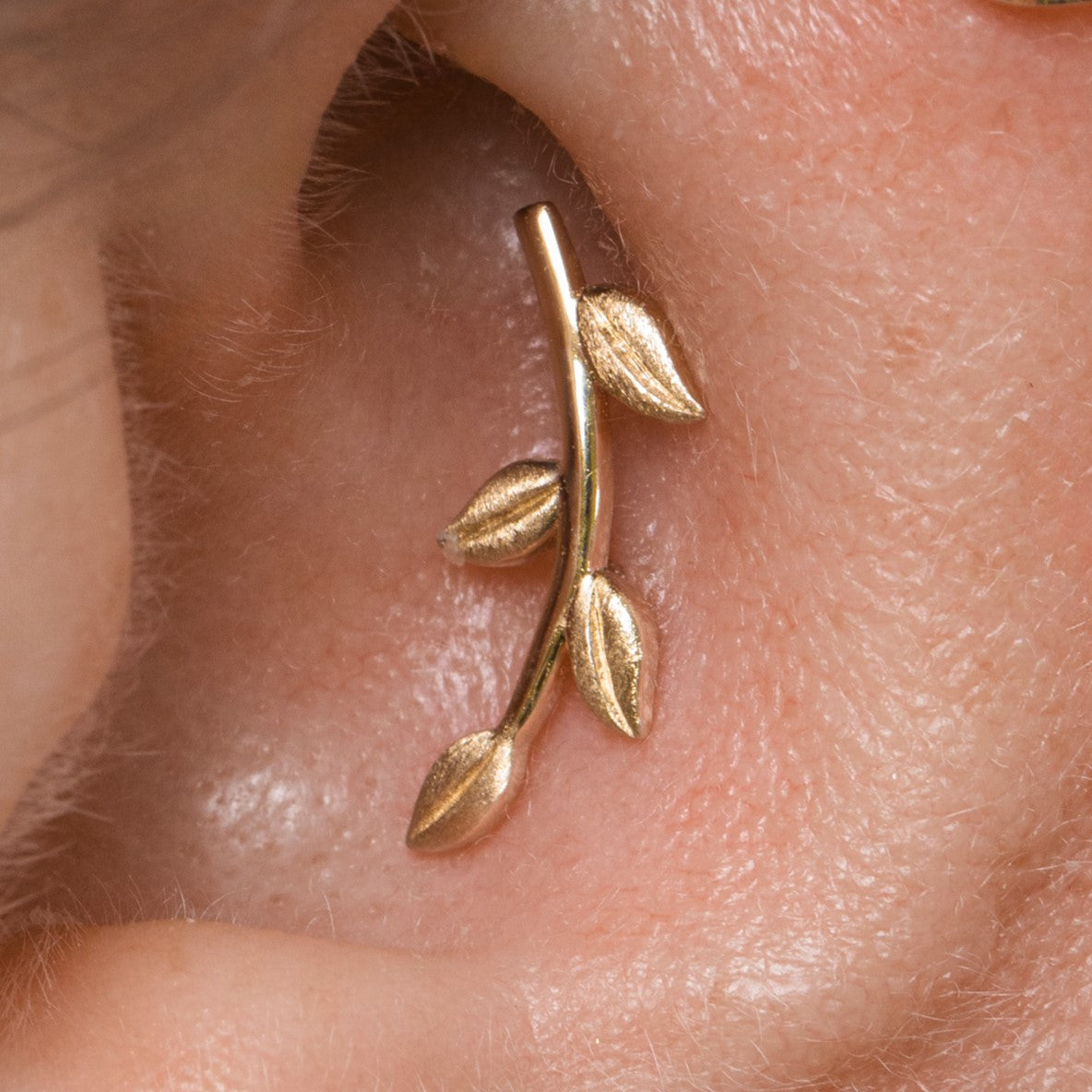 Laura Bond Jewellery Bold and Gold Edinburgh 14k solid yellow gold textured vine garland flat back labret stud earring 8mm Cartilage Studs