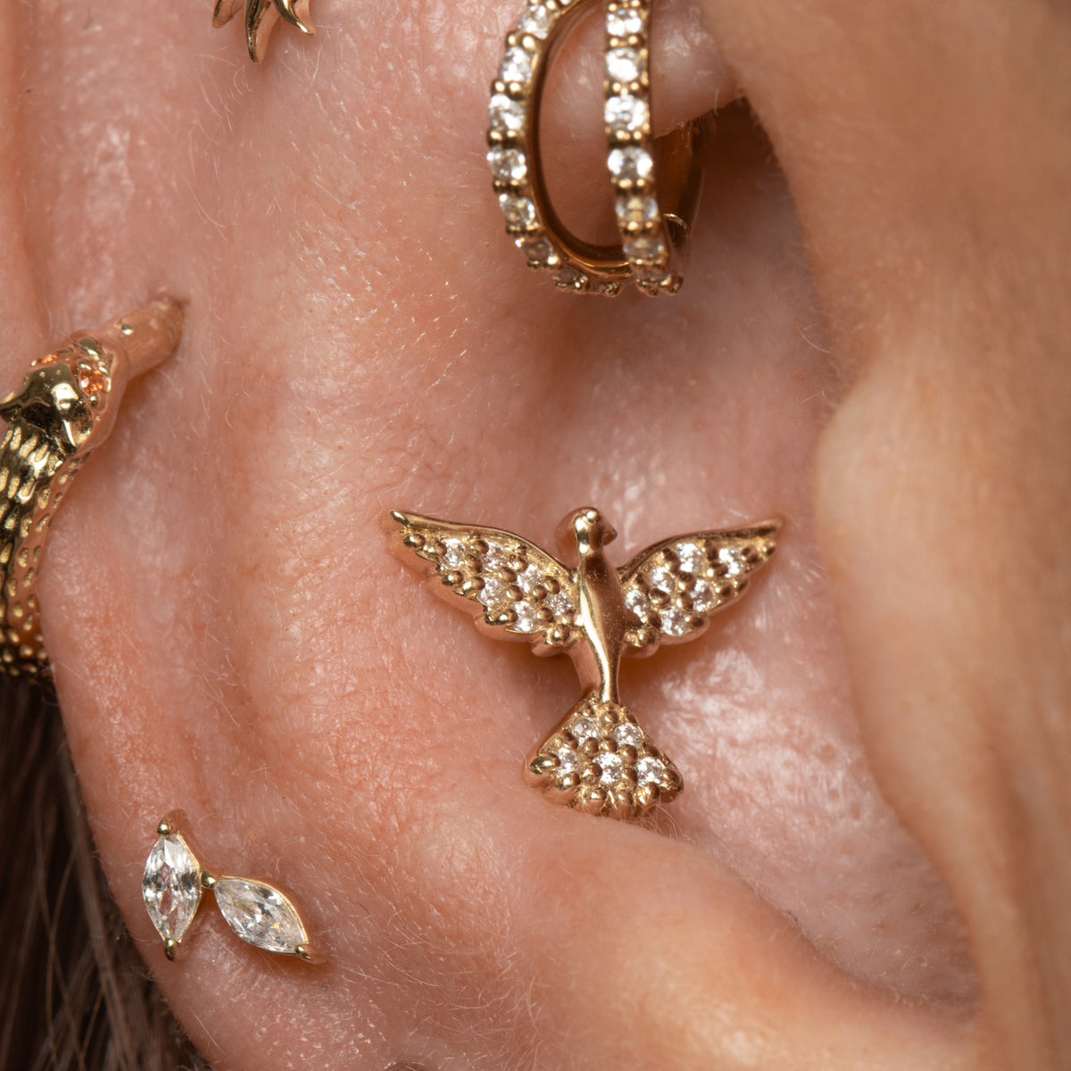 9k solid yellow gold Phoenix flat back labret stud earring 6mm Cartilage Studs Laura Bond Jewellery