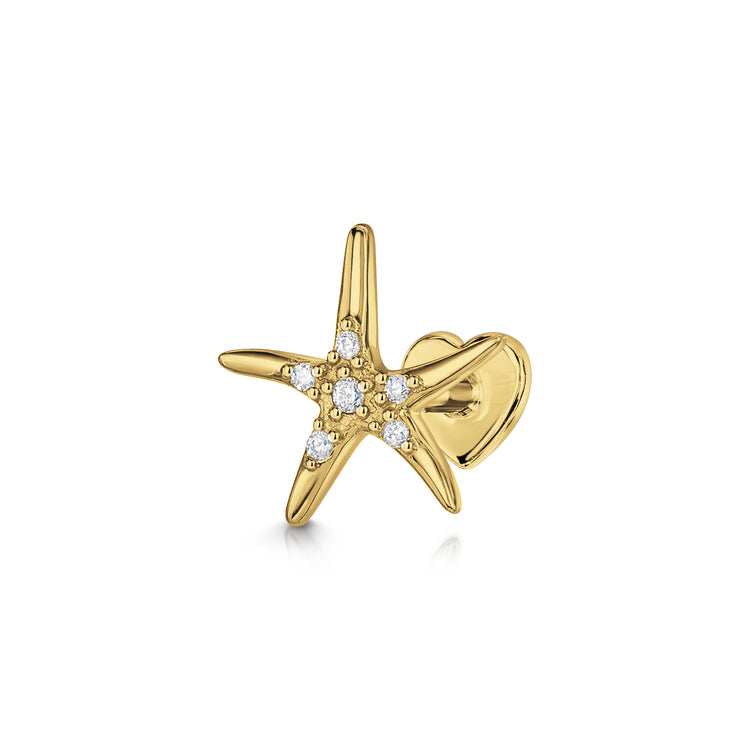 14k solid yellow gold Starfish flat back labret stud earring Cartilage Studs Laura Bond Jewellery