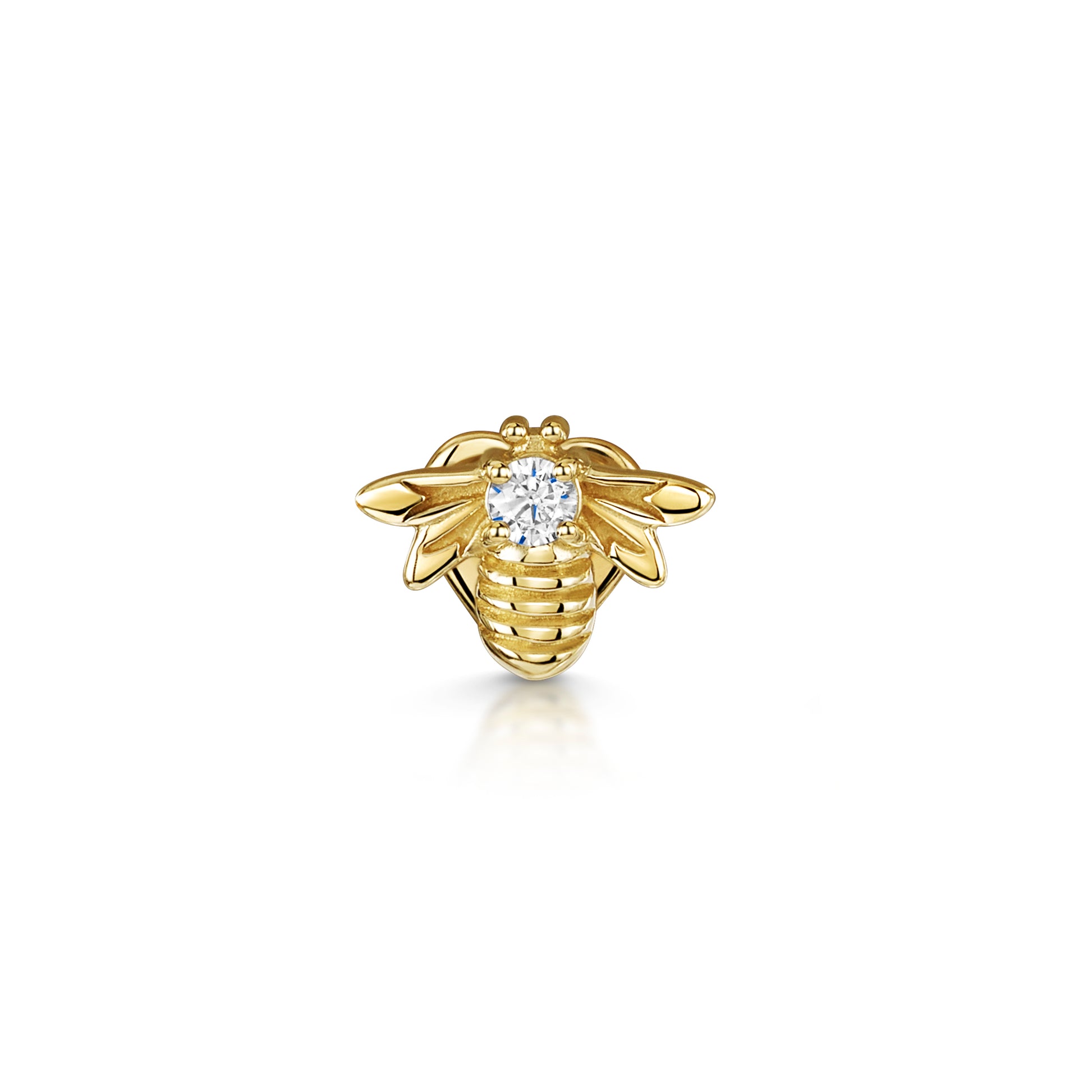 9k solid yellow gold bee flat back labret stud earring 6mm Cartilage Studs Laura Bond Jewellery