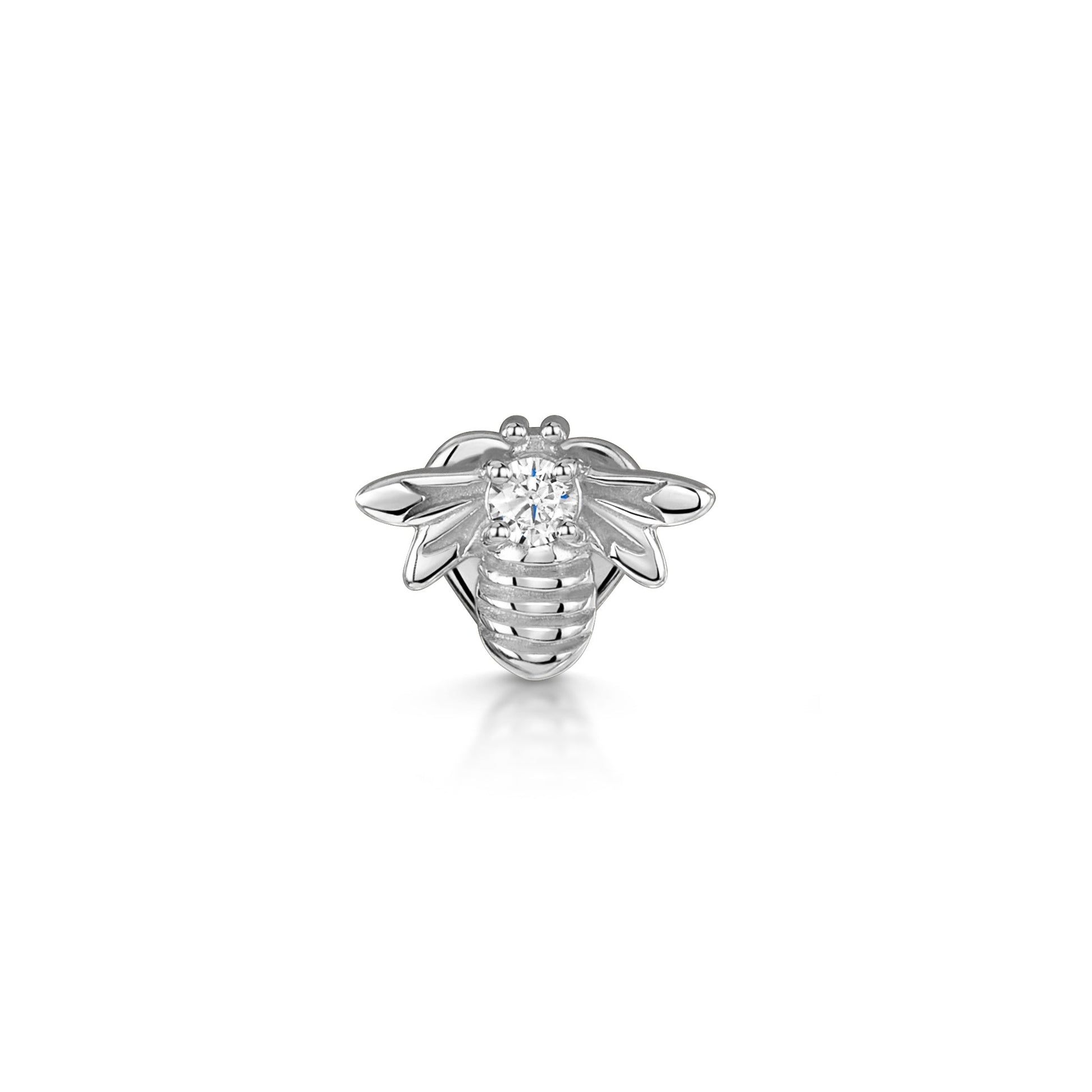 14k solid white gold bee flat back labret stud earring 8mm Cartilage Studs Laura Bond Jewellery