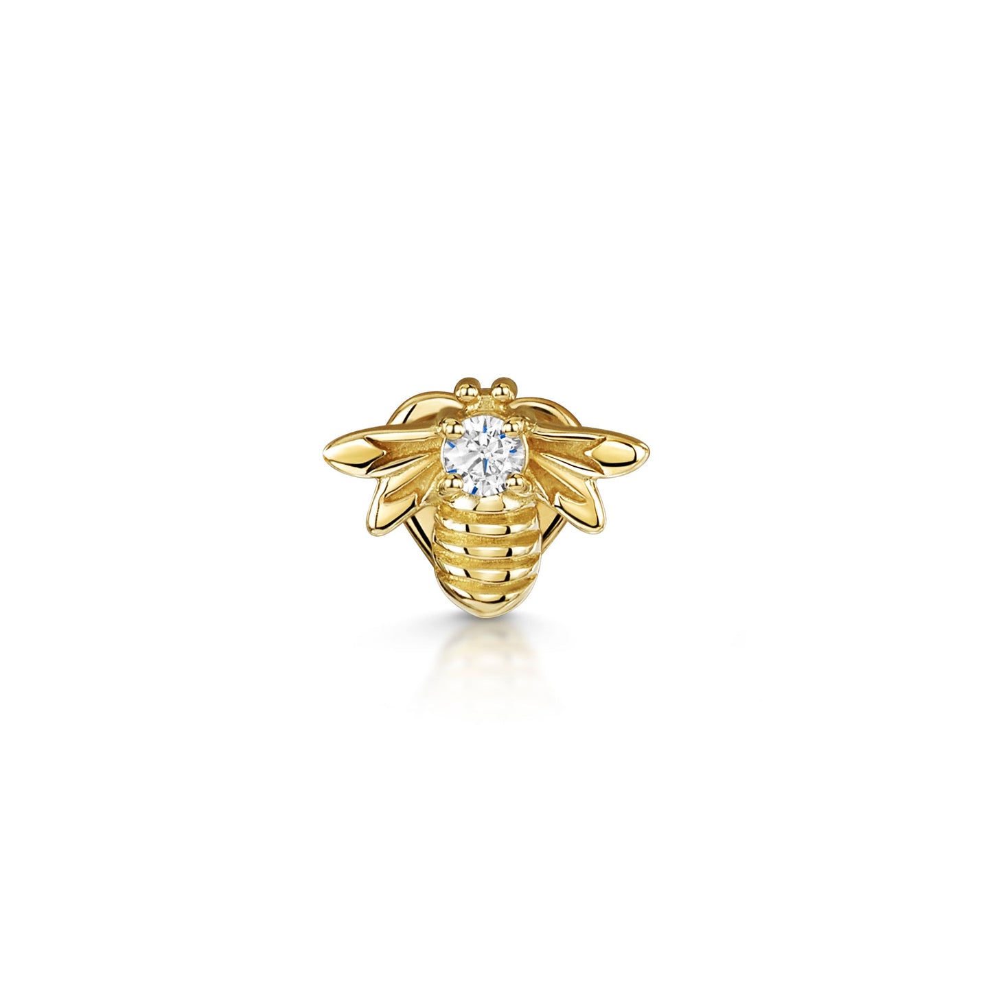 14k solid yellow gold bee flat back labret stud earring 8mm Cartilage Studs Laura Bond Jewellery